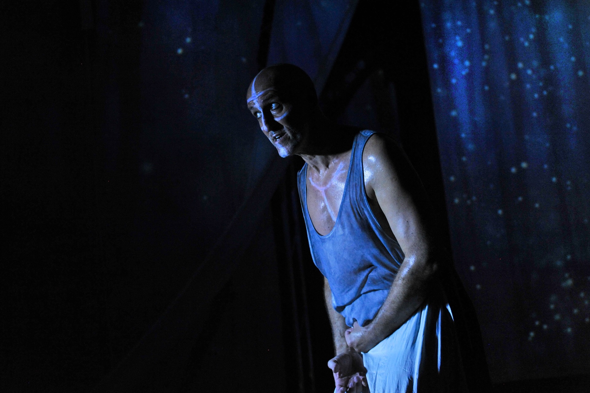 (C) Julia Kampichler Dido ASC_0289.JPG (C) Julia Kampichler Dido ASC_0289.JPG